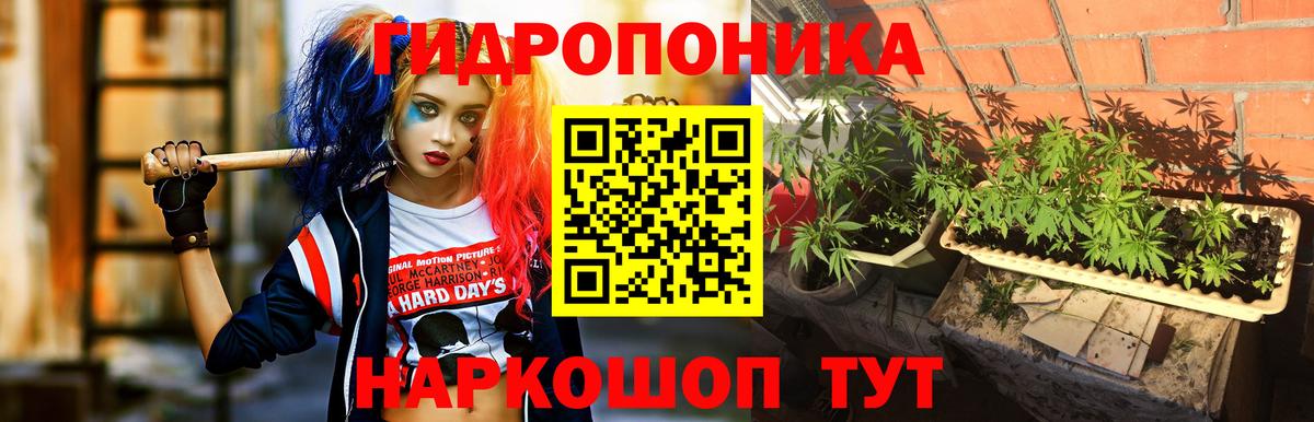 Аша  Шишки марихуана Amnesia  Бошки Шишки Bruce Banner  Бошки марихуана Bruce Banner  Вход с VPN 